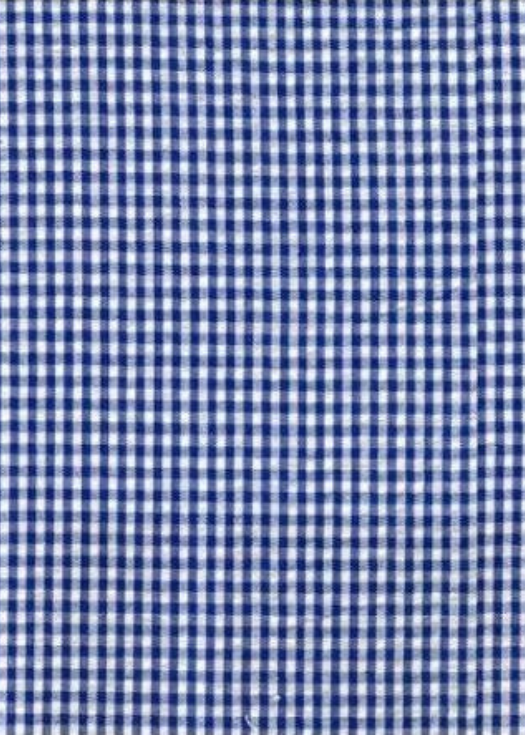 Placemat - Scalloped Edge, Blue Gingham Check/White