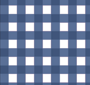 Kimmy Dress - Navy white picnic check FINAL SALE