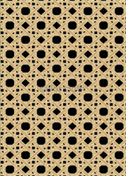 Lucille 3/4 Sleeve Dress - Vanderbilt Boca Grande Cane Black/Tan