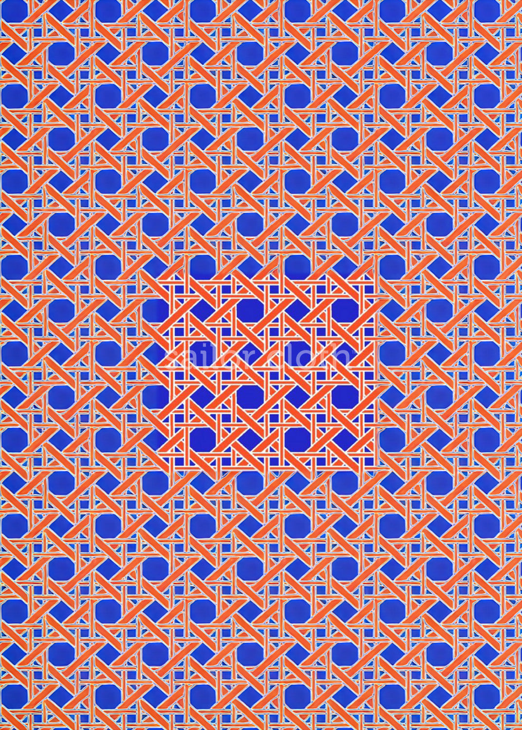 Caroline Top  - Boca Grande Cane Florida Orange/Blue - FINAL SALE