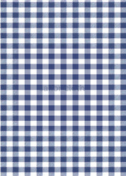 Dorothy Pants - Gingham Check Blue/White - FINAL SALE