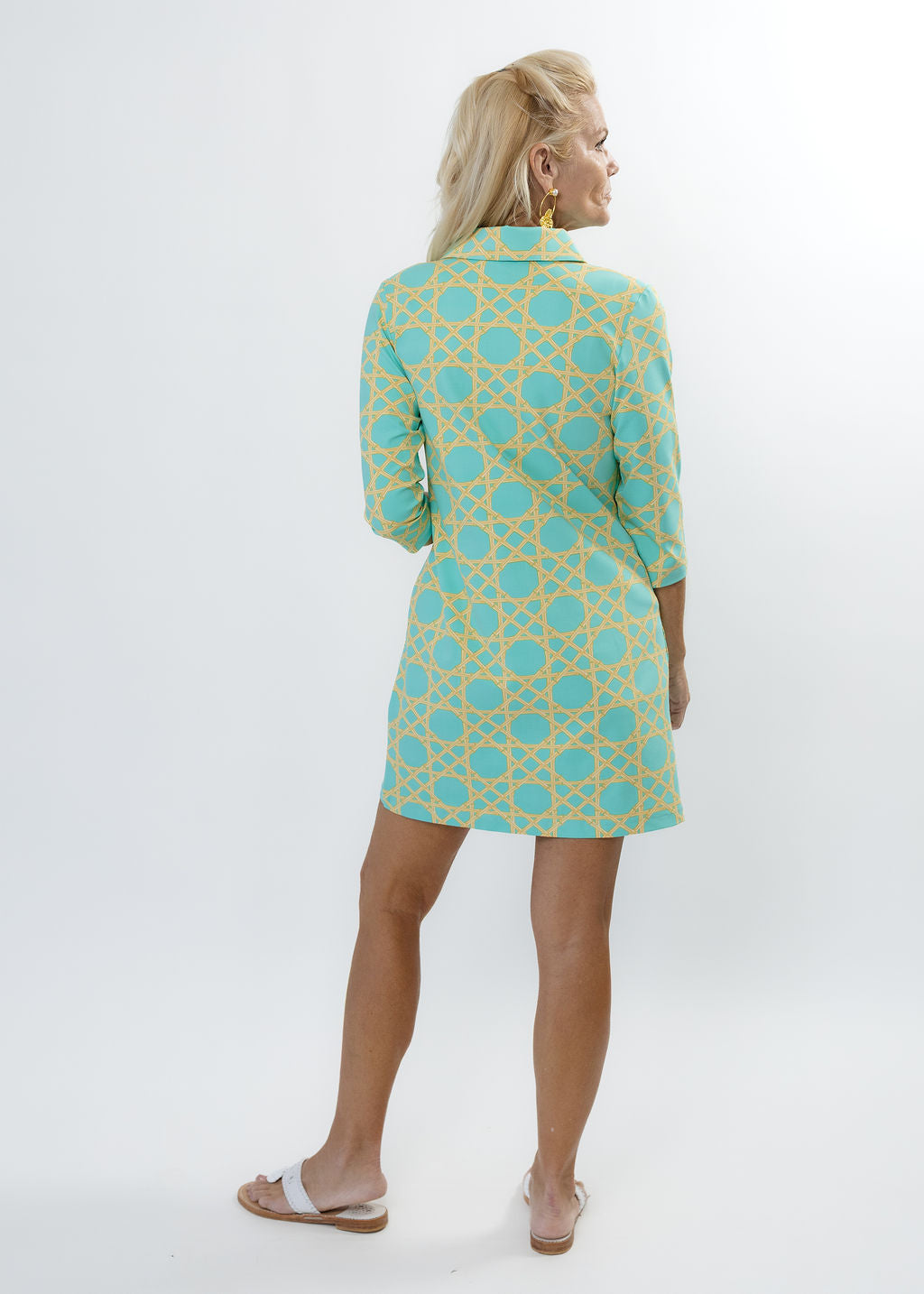 Polo 3/4 Sleeve Dress - Large Bamboo Green/Tan