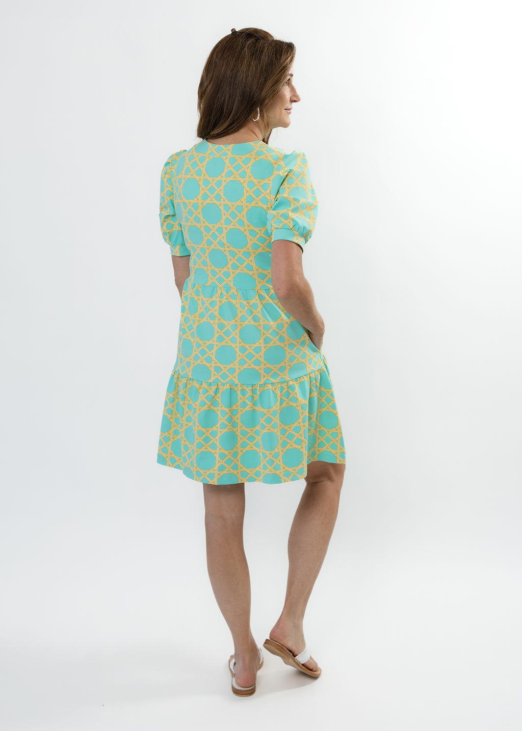 Louisa Short Sleeve Dress - Large Bamboo Green/Tan