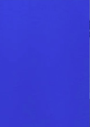 Cricket Sleeveless Dress - Solid Royal