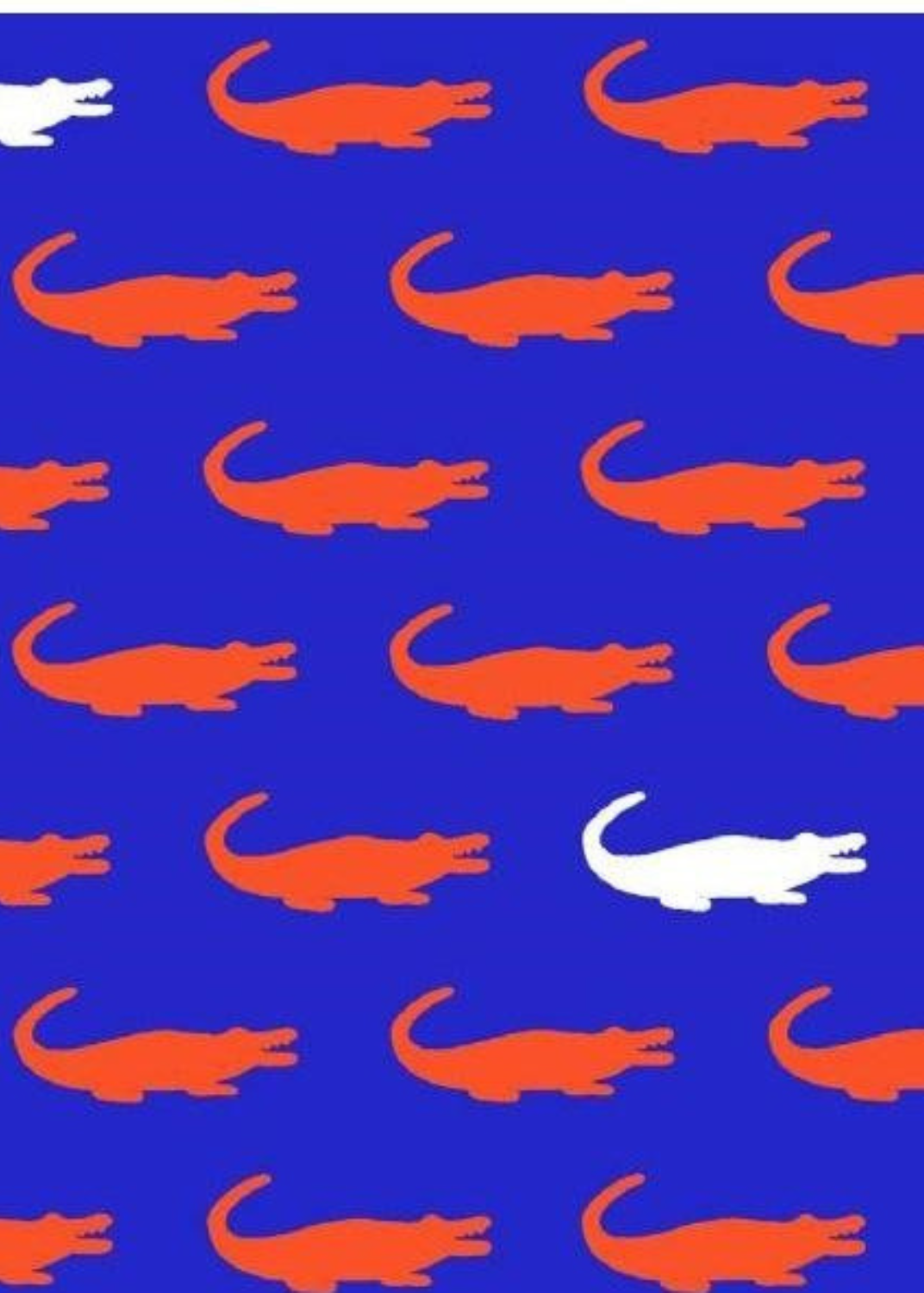 Country Club Skort 15 inch - Gators Florida Blue/Orange