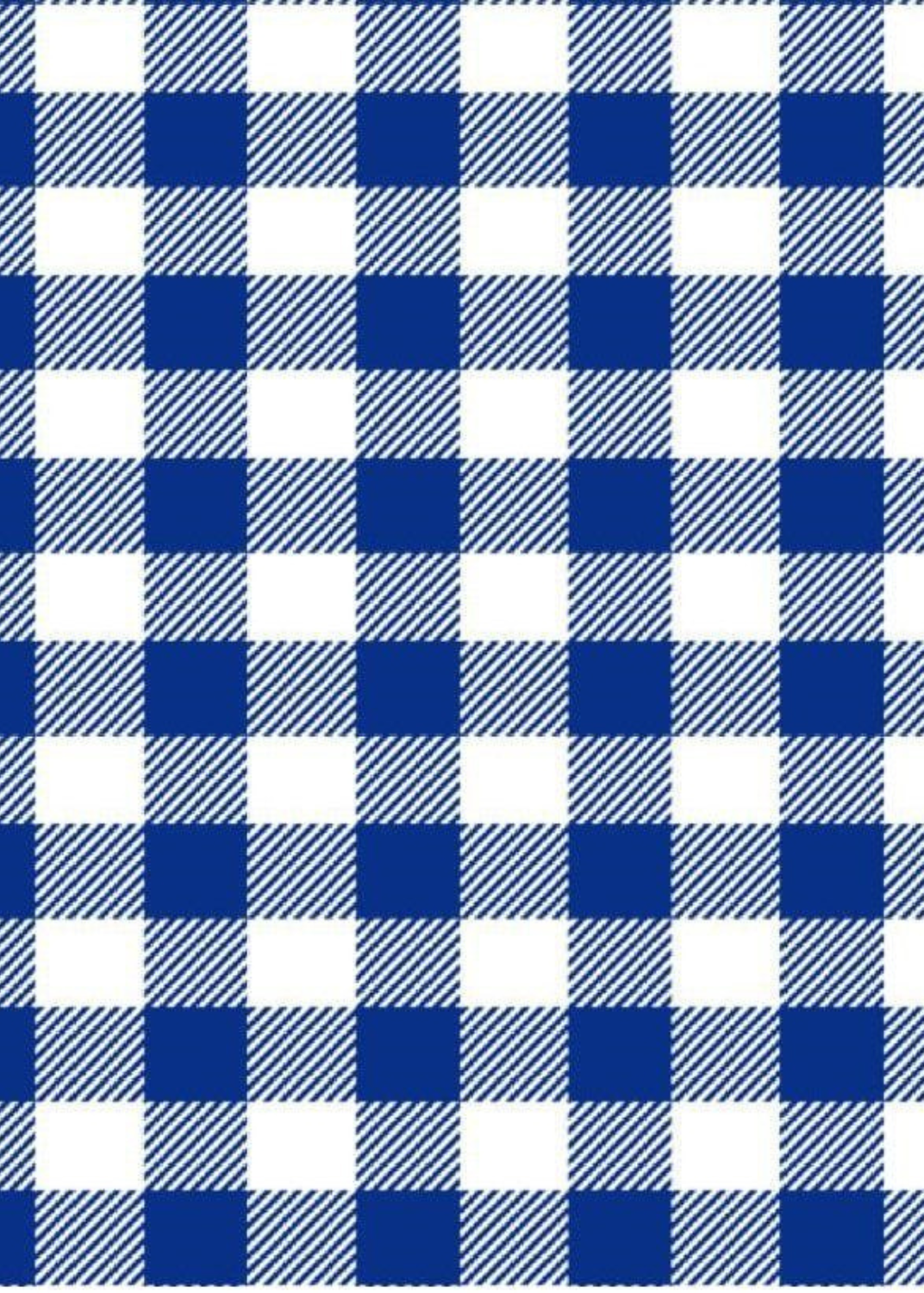 Cricket Top - Gingham Check Blue/White