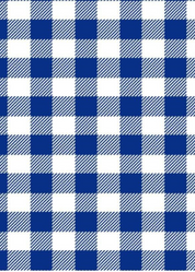 Cricket Top - Gingham Check Blue/White