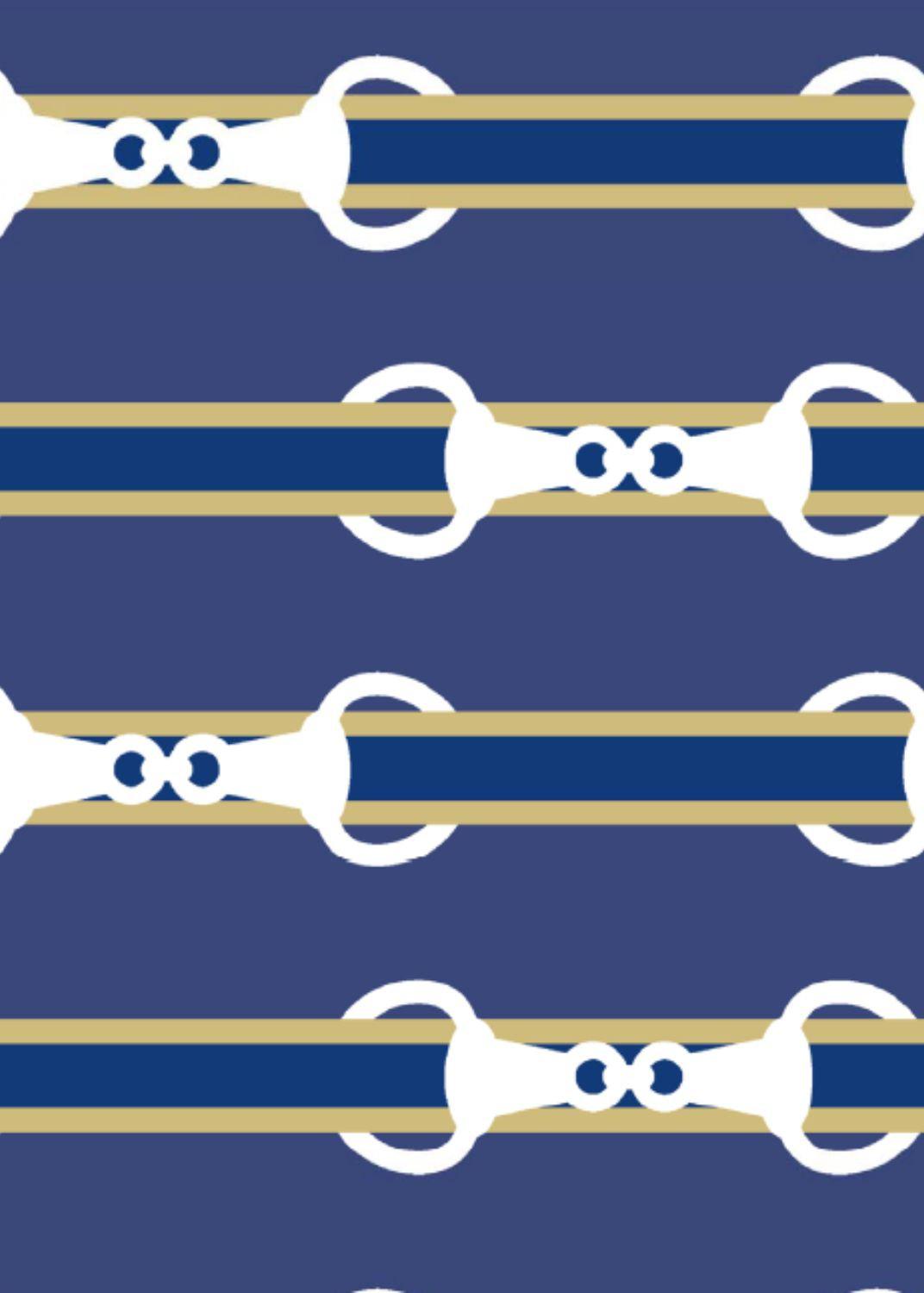 Lucille Dress 3/4- Equestrian stripe 2 Blue