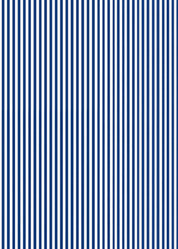 Daisy Sport Dress - Blue Pinstripe/White ric rac - FINAL SALE