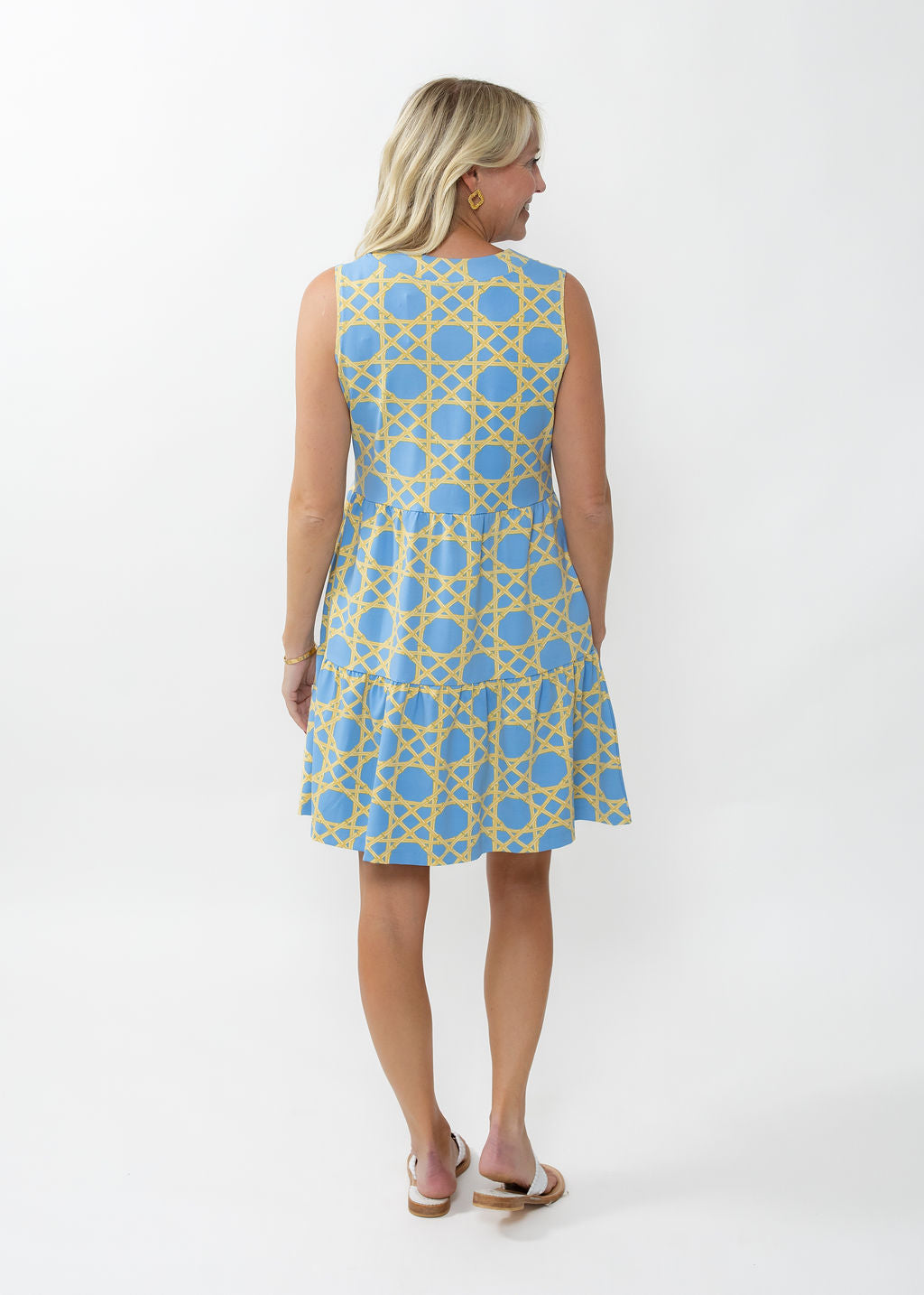 Louisa Sleeveless Dress - Large Bamboo Blue/Tan