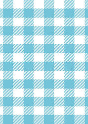 Gingham Blue Radiance