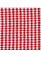 Placemat, Scalloped Edge - Red Gingham Check/Blue-2